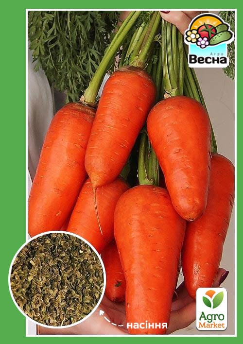 

Морква Шантане Королівська (Новий пакет) ТМ Весна 2г