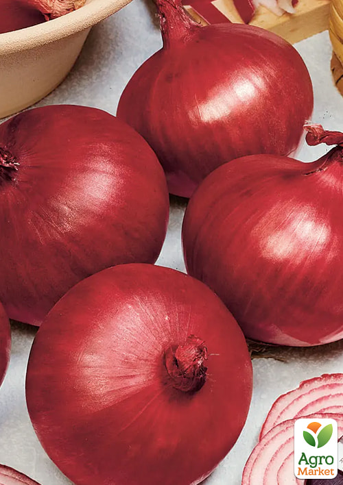 

Голландский лук-севок 0.5кг (арбажейка) среднеспелый, красный ROBIN