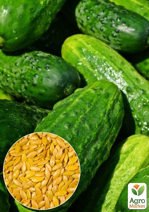 

На развес Огурец Лидер F1 ТМ Весна цена за 1г