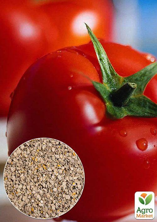 

На вагу Томат Ранній 83 ТМ Весна ціна за 1г