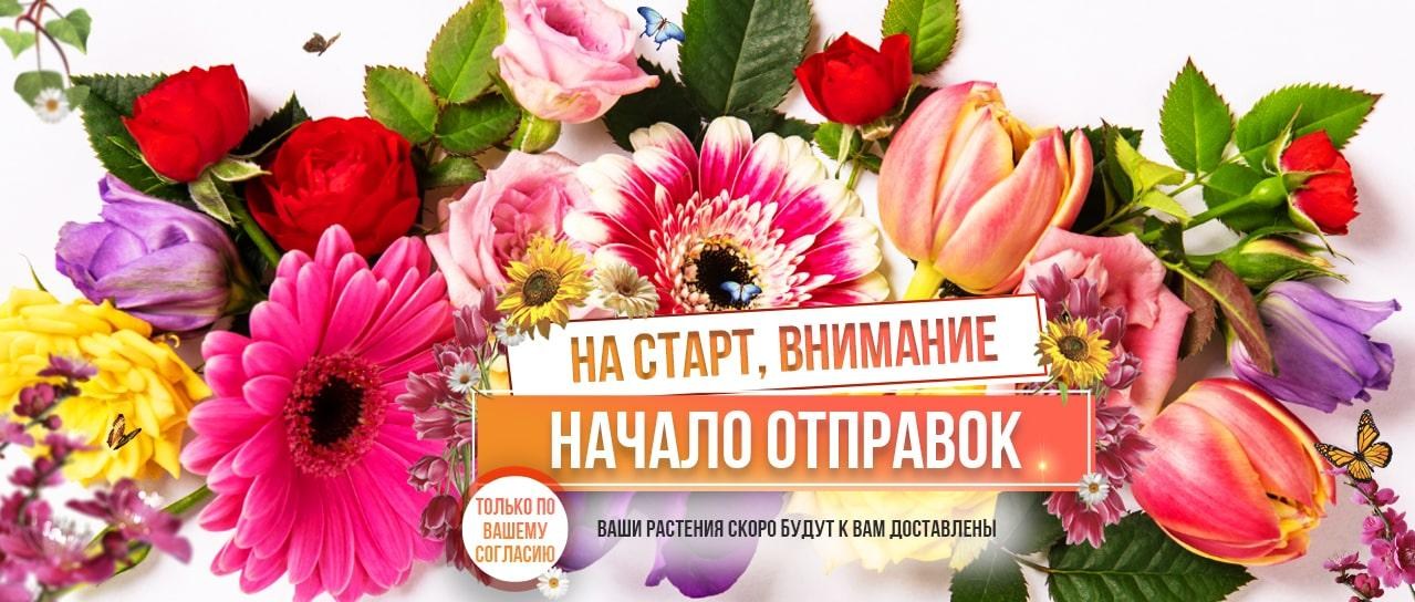 Отправляем заказы Сезона Весна 2021 Отправляем заказы Сезона Весна 2021