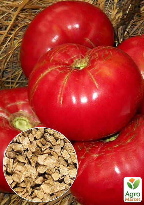 

На вагу Томат Салатний делікатес ТМ Весна ціна за 1г