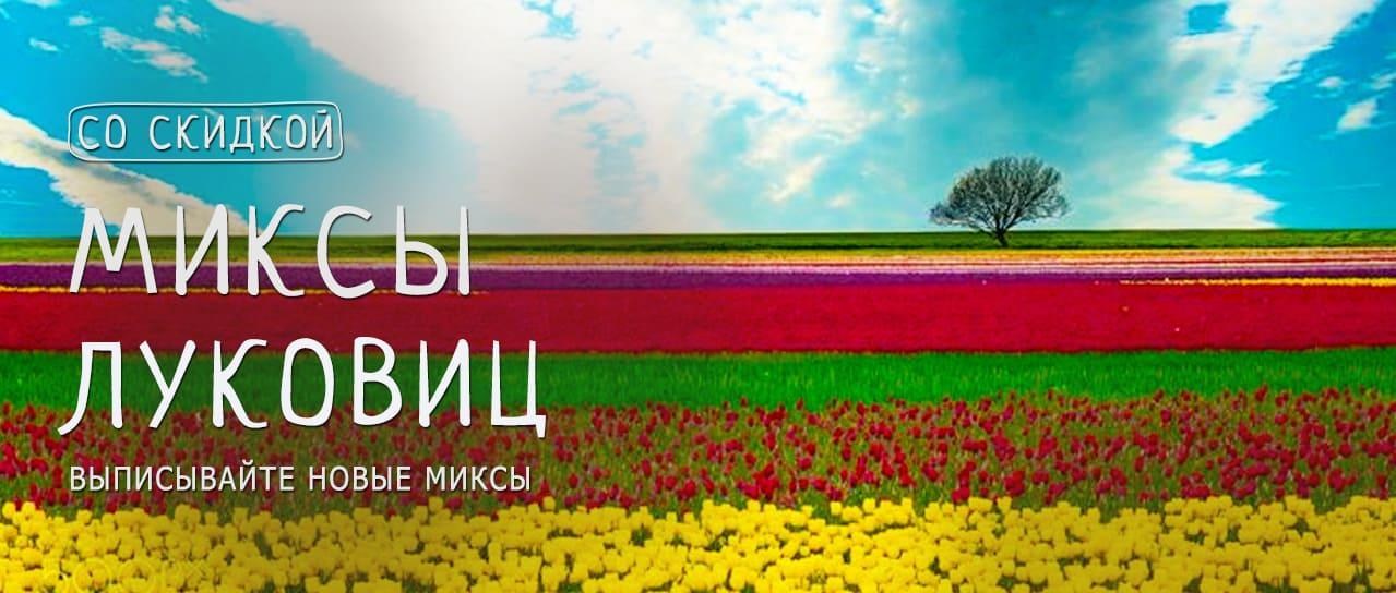 Акция! Выписывайте выгодно миксы популярных луковиц со скидкой -10% Акция! Выписывайте выгодно миксы популярных луковиц со скидкой -10%