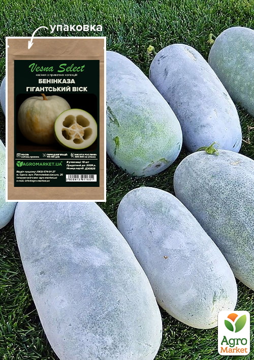 

Бенинказа Гигантский воск ТМ Vesna Select 10шт