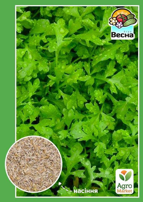 

Кресс-салат Ванька-кучерявий (Новий пакет) ТМ Весна 1г