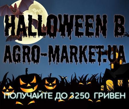 Halloween в Agro-market.ua получайте до 3250 гривен на бонусный счет Halloween в Agro-market.ua получайте до 3250 гривен на бонусный счет