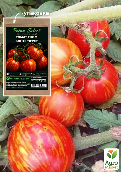 

Томат гном Бонте Тигрет ТМ Vesna Select 0.1г