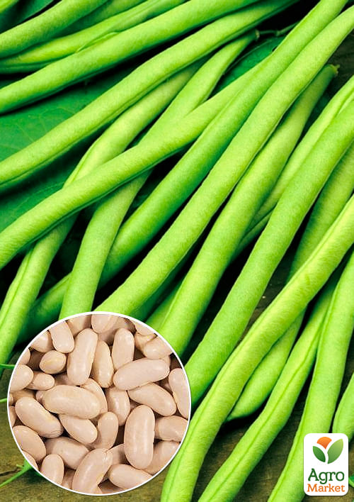 

На развес Фасоль спаржевая Полька ТМ Весна цена за 15г