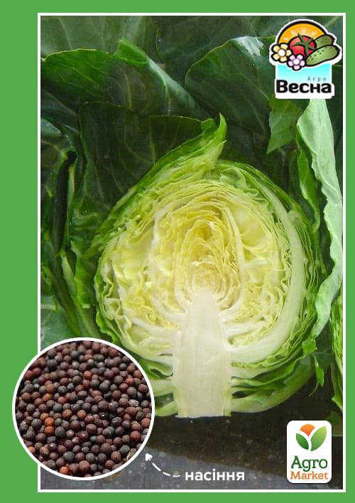 

Капуста сверхранняя Первый урожай ТМ Весна 0.5г