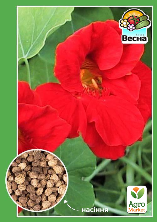 

Настурция вьющаяся однолетник Алый блеск ТМ Весна 0.5г
