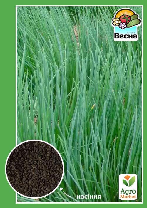 

Лук Шнит ТМ Весна 0,5г