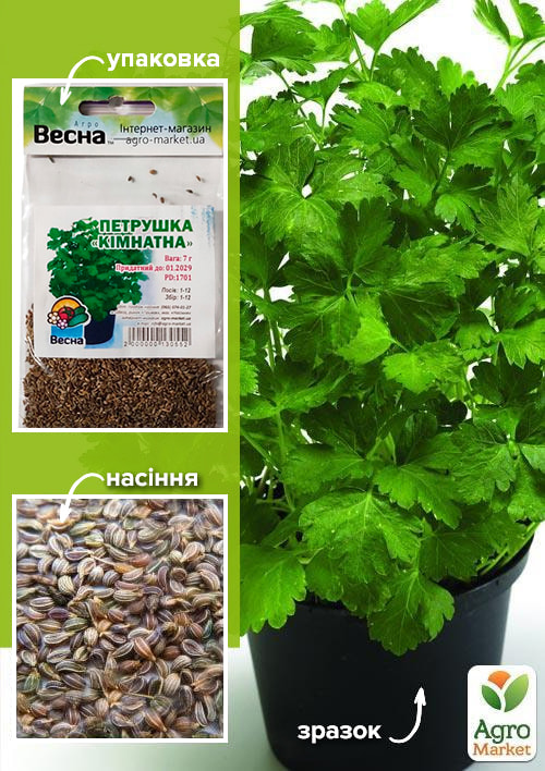 

Петрушка Комнатная (Зипер) ТМ Весна 7г