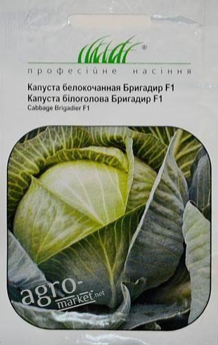 Капуста "Бригадир F1" ТМ "Hem Zaden" 20шт купить почтой в Одессе, Киеве, Украине