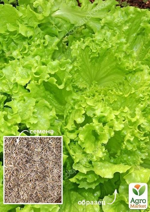 

На развес Салат "Скоморох" ТМ "Весна" цена за 8г