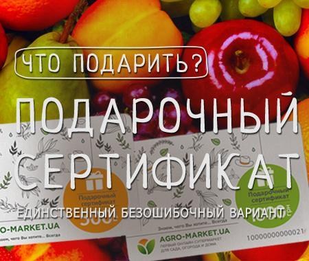 Акция! Встречайте впервые в Agro-Market.ua подарочные сертификаты Акция! Встречайте впервые в Agro-Market.ua подарочные сертификаты