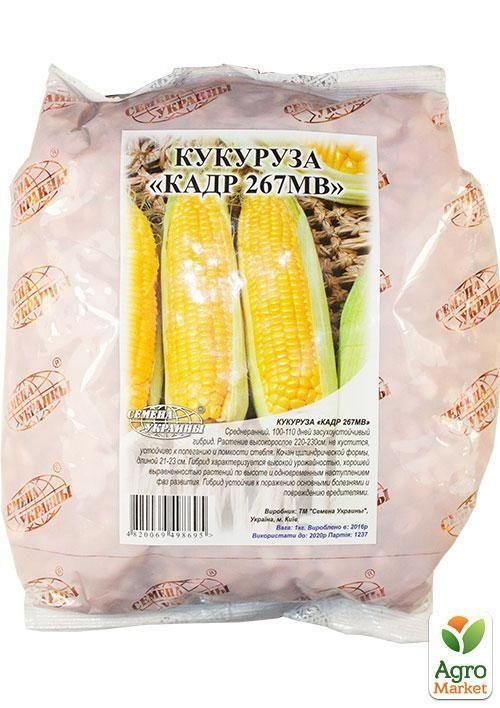 

Кукуруза кормовая КАДР ТМ Весна 1кг