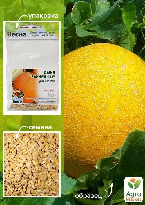 

Дыня Ранняя 133 (Зипер) ТМ Весна 3г
