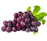 Саженцы позднего винограда