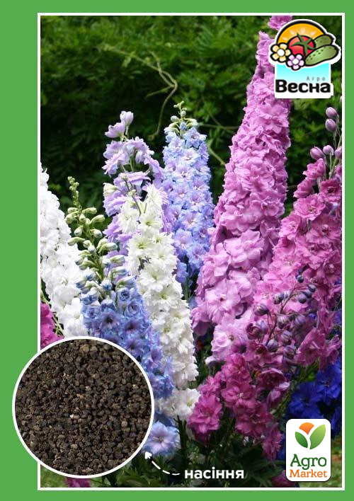 

Дельфініум багаторічний суміш ТМ Весна 0.1г