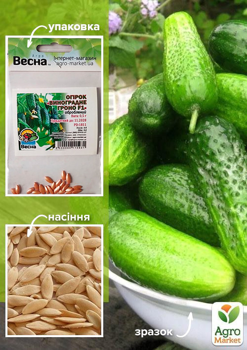 

Огурец Виноградная гроздь F1 (Зипер) ТМ Весна 0.5г