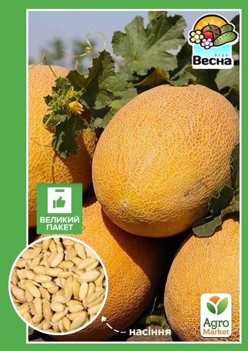 

Дыня Алушта (Большой пакет) ТМ Весна 4г