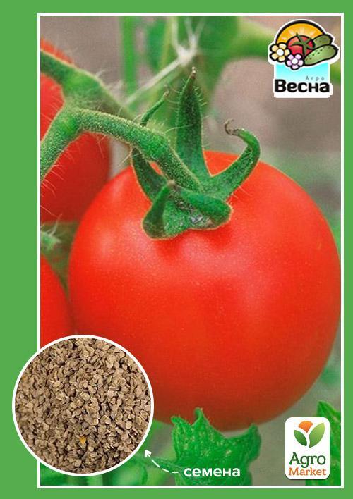 

Томат Факел ТМ Весна 0.2г