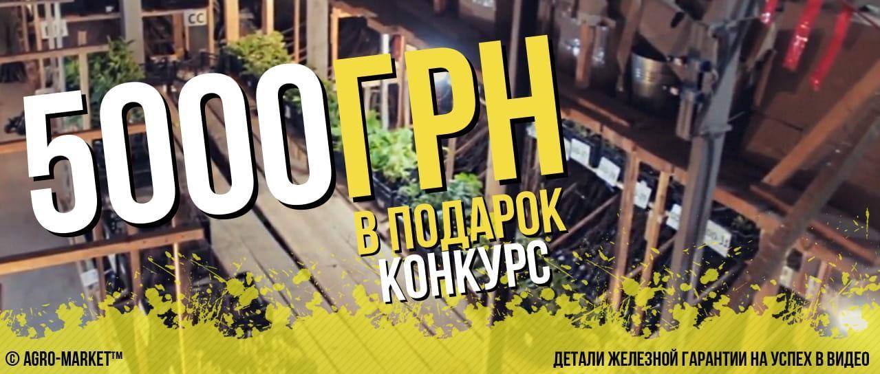 Получи 5000грн бонусами на свой личный счет Получи 5000грн бонусами на свой личный счет