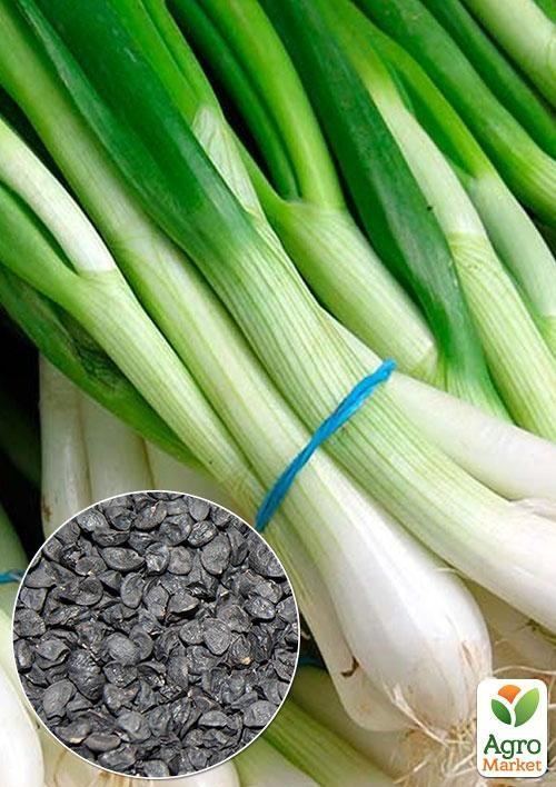 На развес Лук "На зелень" ТМ "Весна" цена за 3г