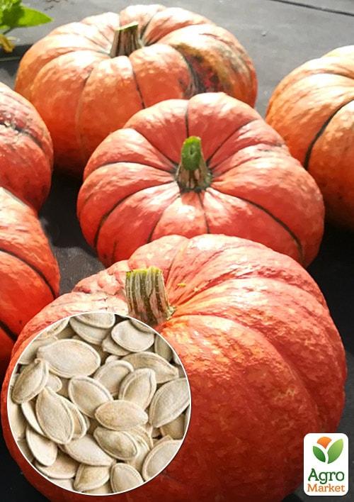 

На развес Тыква Зимний деликатес ТМ Весна цена за 10г