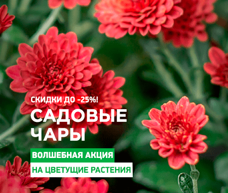 Садовые чары Садовые чары