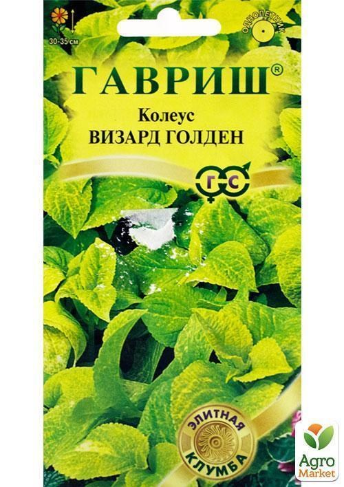 

Колеус "Визард Голден" ТМ "Гавриш" 5шт