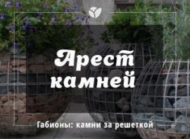 Арест камней: габионы в саду