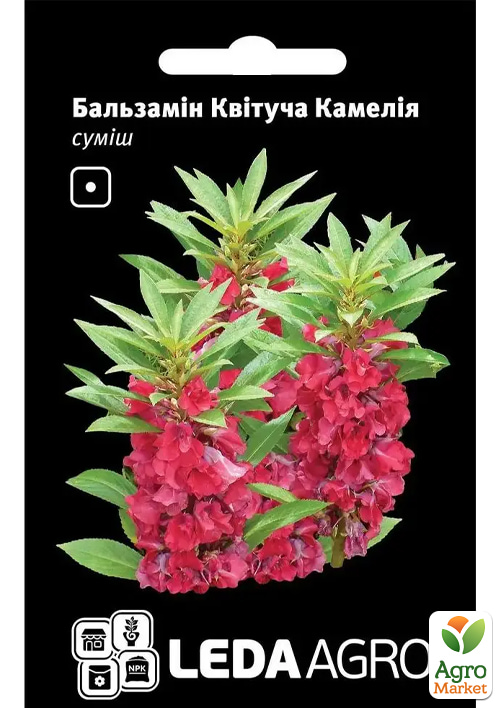 

Бальзамін Квітуча Камелія суміш ТМ Leda Agro 0,5г