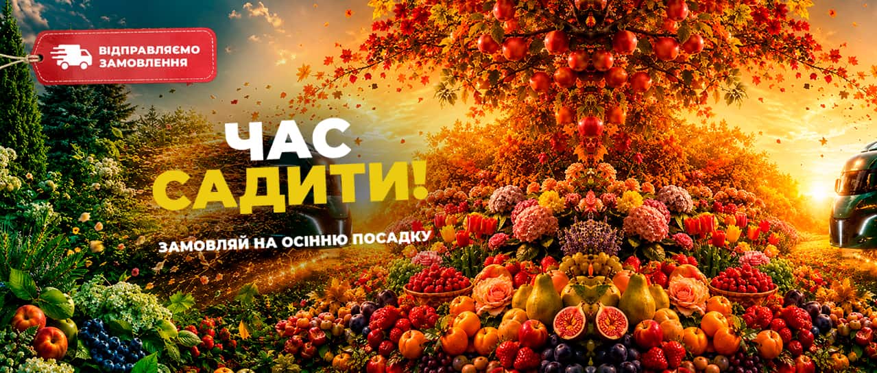Час садити. Відправляємо Ваші замовлення!
