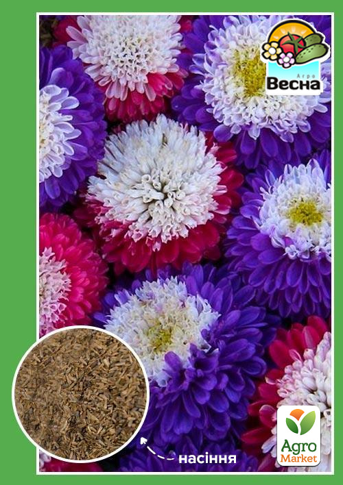 

Айстра Помпона суміш забарвлень ТМ Весна 0.2г