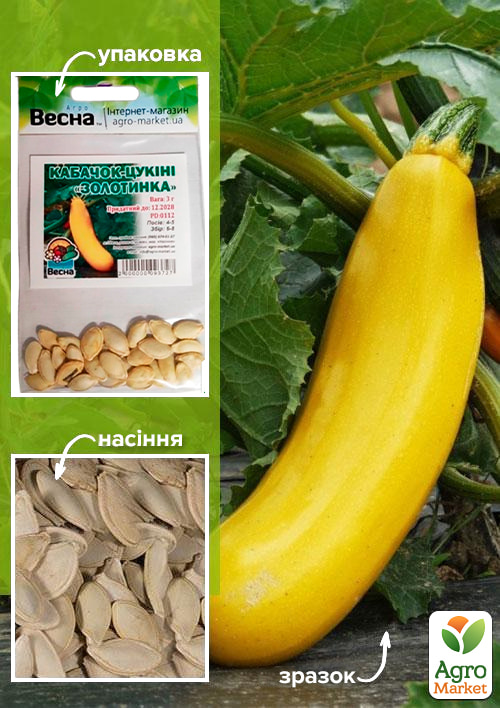 Кабачок-цуккини "Золотинка" (Зипер) ТМ "Весна" 3г