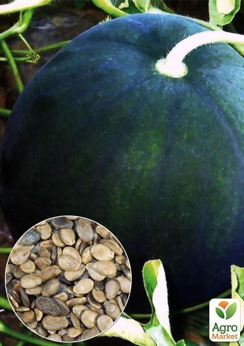 

На развес Арбуз Огонек ТМ Весна цена за 6г