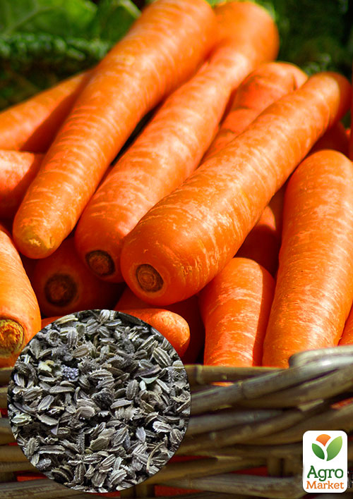 

На вагу Морква Медовянка ТМ Весна ціна за 10г