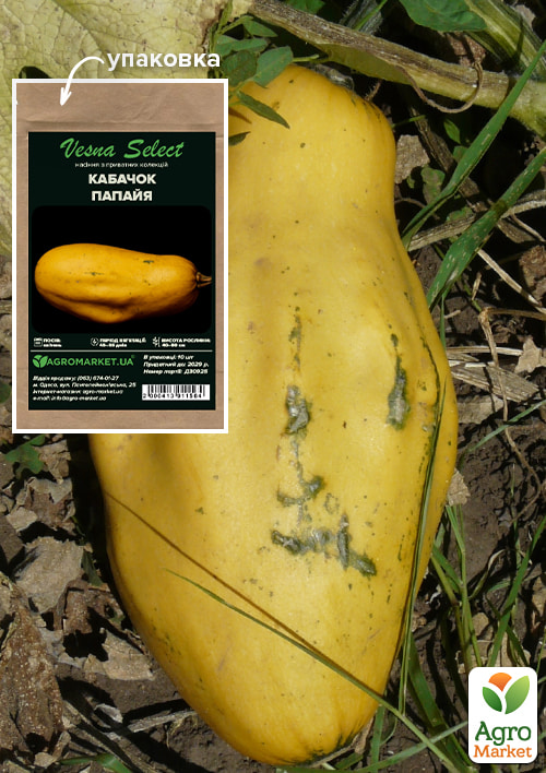 

Кабачок Папайя ТМ Vesna Select 10шт