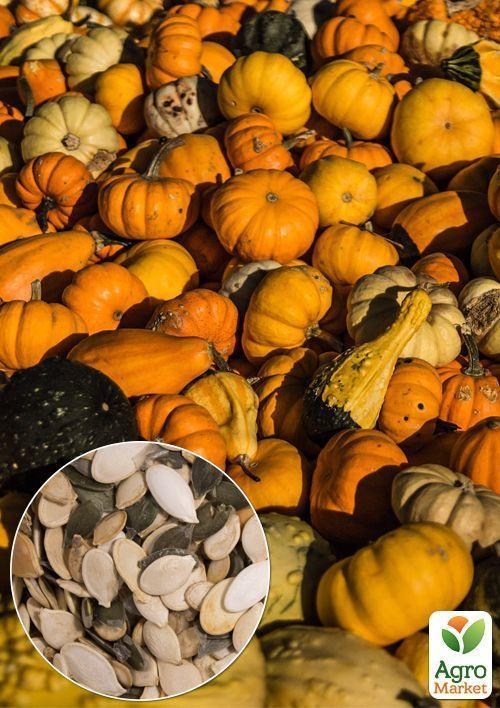 На вагу Гарбуз "Суміш 5 сортів" ТМ "Весна" ціна за 20г