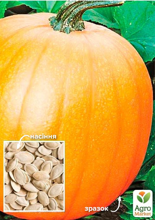 

Гарбуз Кущовий помаранчевий ТМ Весна 100г
