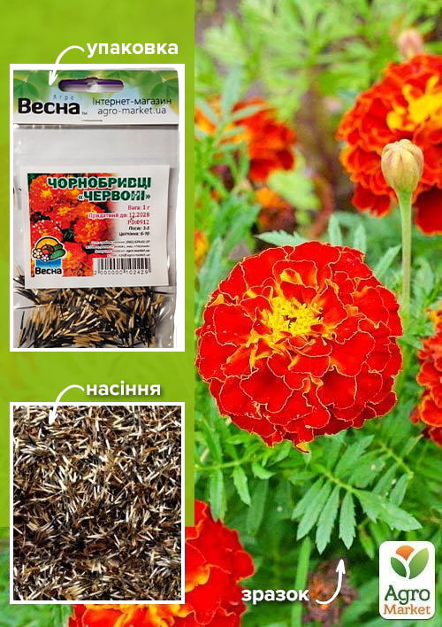 

Чорнобривці Червоні (Зипер) ТМ Весна 1г