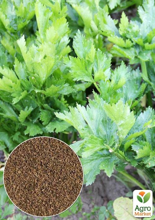 

На развес Сельдерей листовой Грибовский ТМ Весна цена за 2г