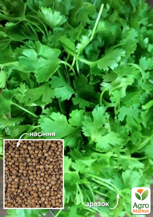 

На вагу Коріандр Красота ТМ Весна ціна за 20г