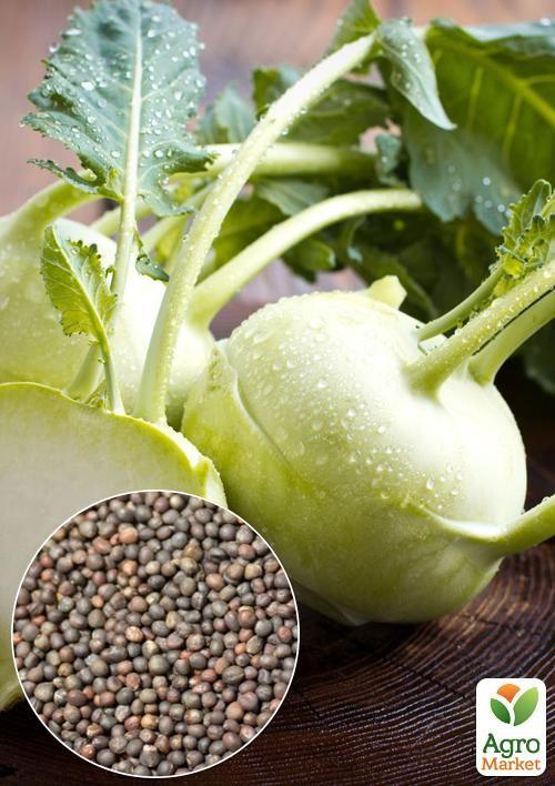 

На развес Капуста Кольраби белая ТМ Весна цена за 2г