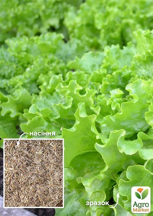 

На развес Салат Геркулес ТМ Весна цена за 8г