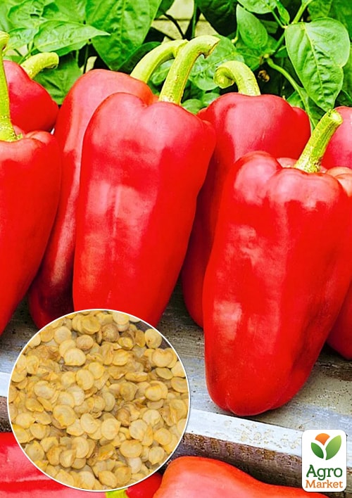 

На вагу Перець Орлиний дзьоб ТМ Весна ціна за 1г