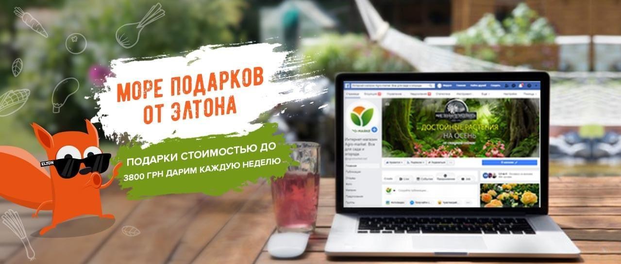 Подписывайтесь на нашу группу в Facebook Подписывайтесь на нашу группу в Facebook
