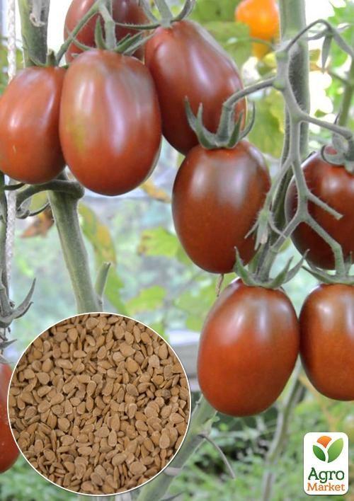 

На развес Томат Черный мавр ТМ Весна цена за 1г