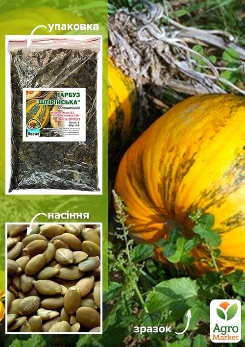 

Тыква Штирийская ТМ Весна 500г